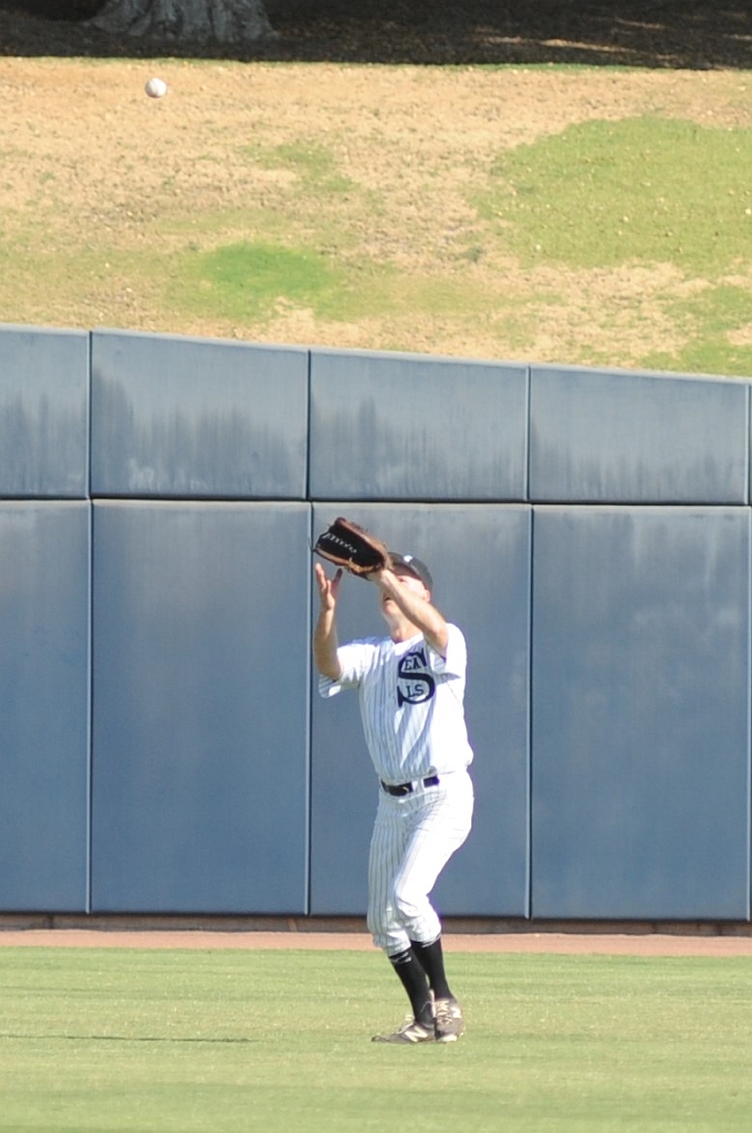 Seals_2017-10-08 (172).jpg - (c)2010 DeVetter